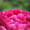 michelle_pm4141